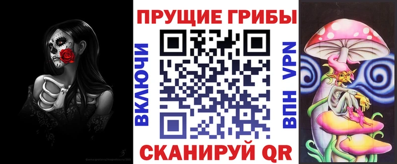 Псилоцибиновые грибы MAGIC MUSHROOMS  Купить где  Красный Холм 